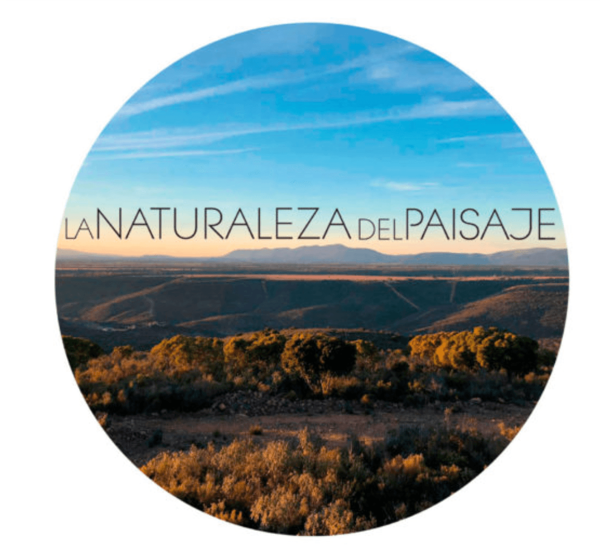 Perfil de Mónica Martínez-Bordiú