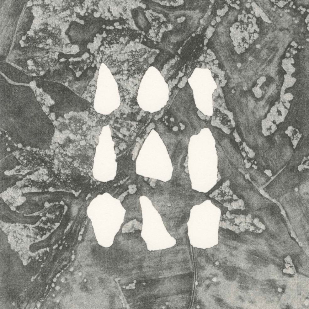 Perfil de Maria Herreros De la Fuente 